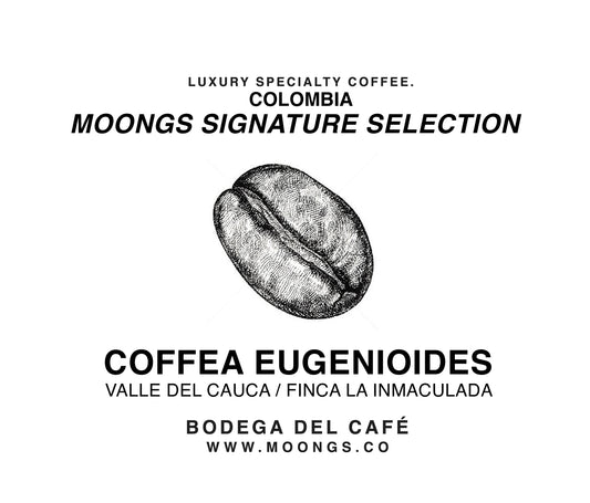 MOONGS SIGNATURE SELECTION - EUGENIOIDES