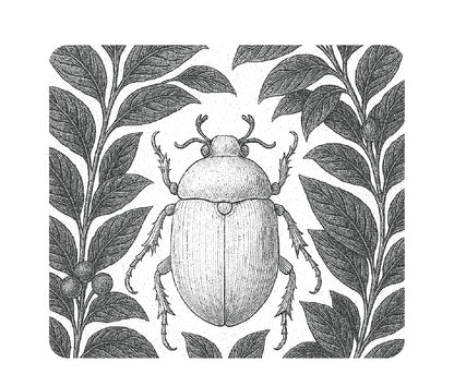 MOONGS SIGNATURE SELECTION - EUGENIOIDES